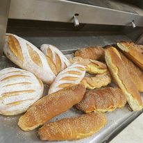 pane1  Prenotocomodo.it